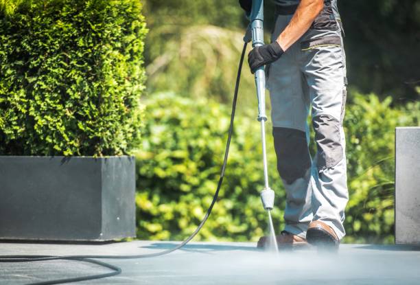 Best Animal Enclosure Cleaning  in Walworth, WI