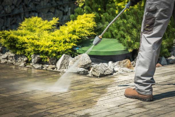 Best Warehouse Cleaning  in Walworth, WI